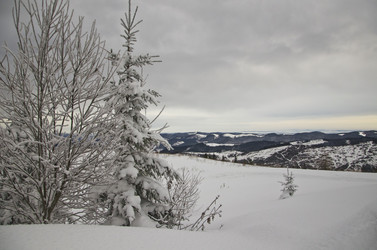 Similar image 1764221