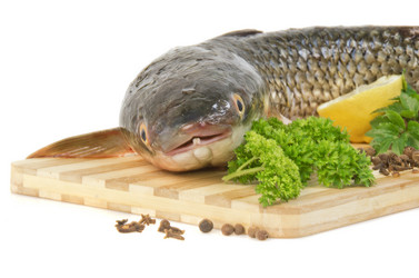 Similar image 1764223