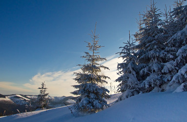 Similar image 1764241