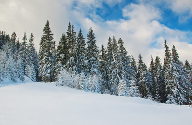 Similar image 1764242