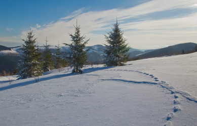 Similar image 1764244