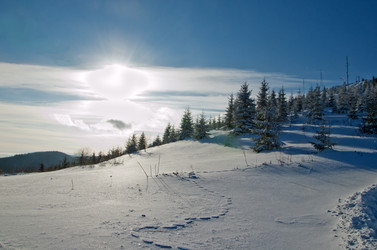 Similar image 1764245