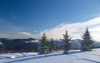 Similar image 1764246