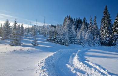 Similar image 1764252