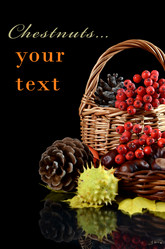 Similar image 1764309