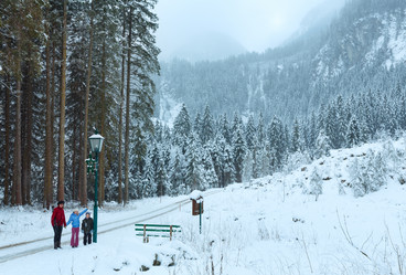 Similar image 1764549