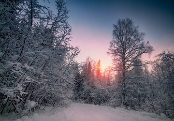 Similar image 1764596