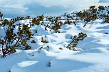 Similar image 1764635