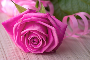 Similar image 1764775