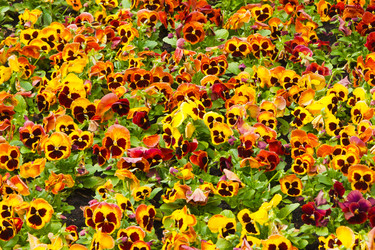 Similar image 1764932