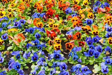 Similar image 1764934