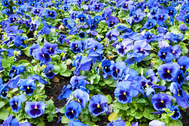 Similar image 1764939