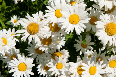 Similar image 1764942