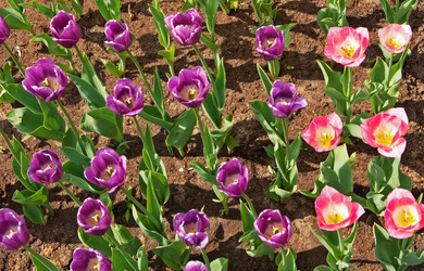 Similar image 1764944