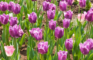 Similar image 1764947