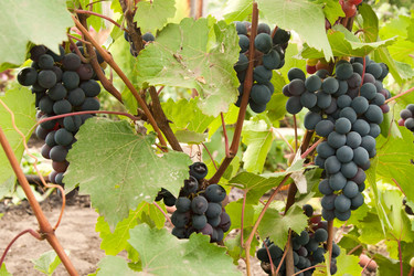 Similar image 1764958