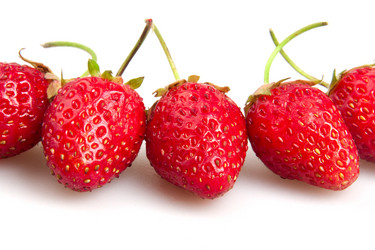 Similar image 1764962