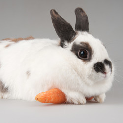 Similar image 1764975