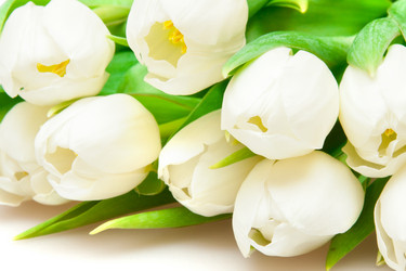 Similar image 1764978