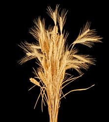 Similar image 1764982