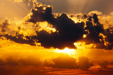 Similar image 1764985