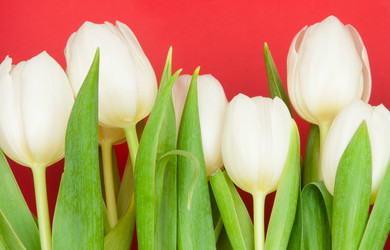 Similar image 1764989