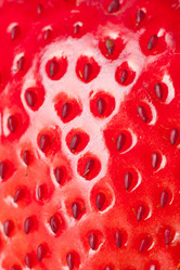 Similar image 1764991