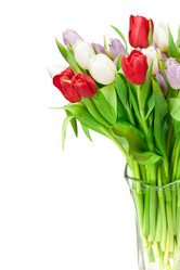 Similar image 1764993