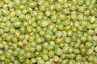 Similar image 1764997