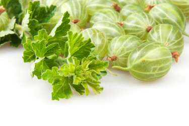 Similar image 1764998