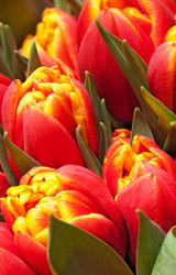 Similar image 1765002