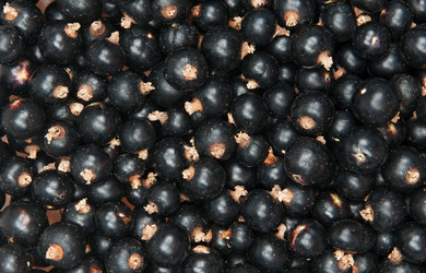 Similar image 1765006