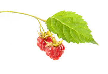 Similar image 1765007