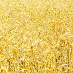 Similar image 1765010