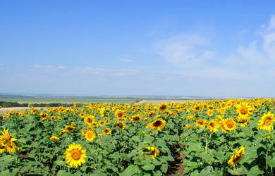 Similar image 1765011