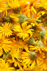 Similar image 1765014