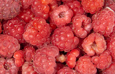 Similar image 1765016