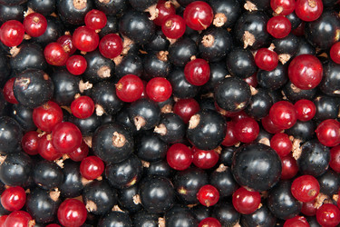 Similar image 1765017