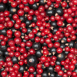 Similar image 1765018