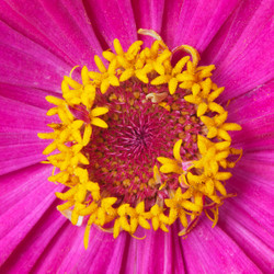 Similar image 1765019