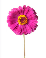 Similar image 1765020