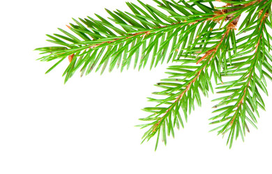 Similar image 1765021