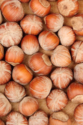 Similar image 1765023