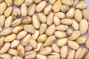 Similar image 1765024