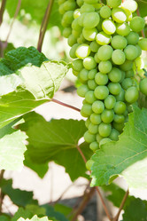 Similar image 1765029