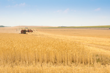 Similar image 1765031