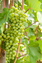 Similar image 1765035