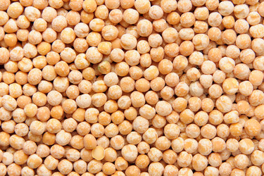 Similar image 1765049