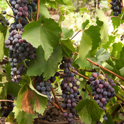 Similar image 1765052