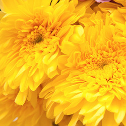 Similar image 1765059